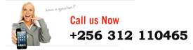 Call Us Now